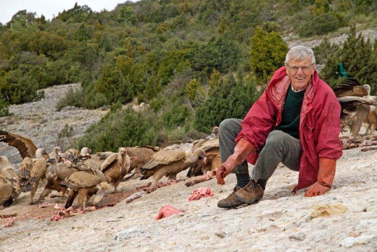 Michel TERRASSE avec des vautours en Espagne - Photo A.GUERRIER