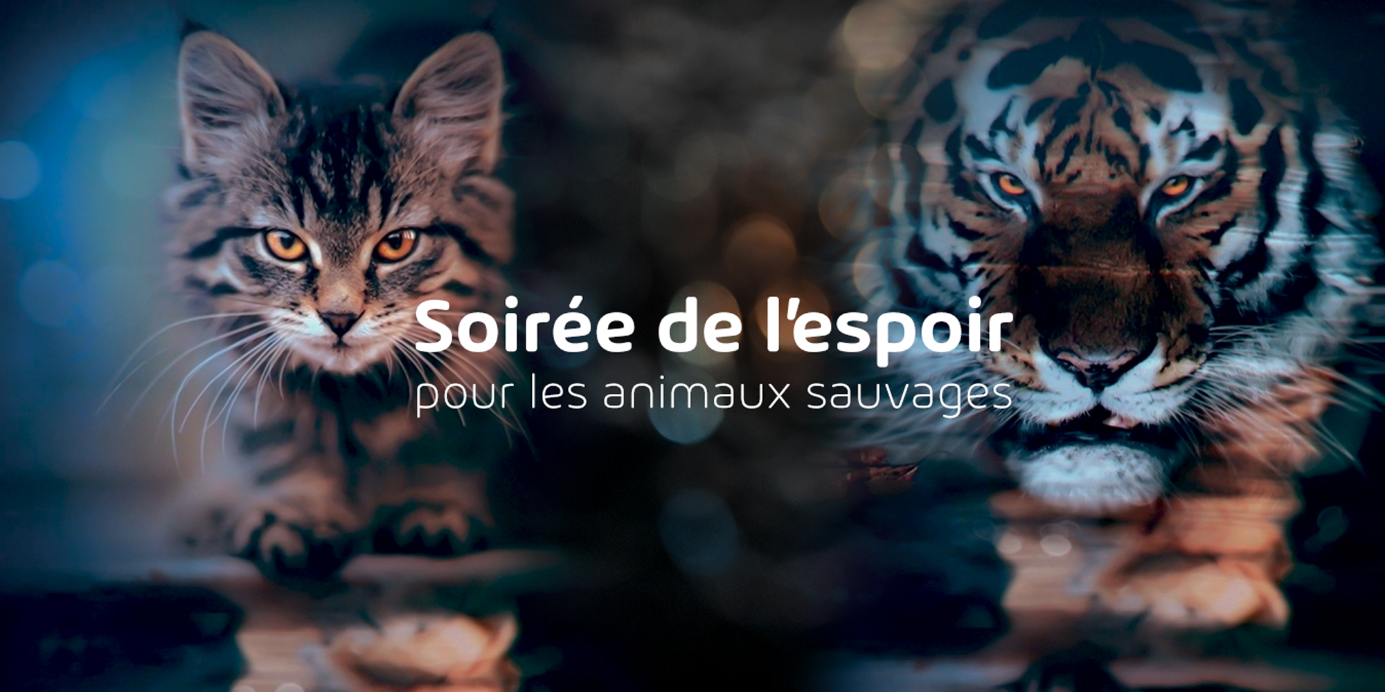 La soirée de l&rsquo;espoir pour les animaux sauvages