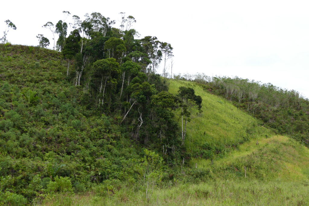 Déforestation à Madagascar - Benjamin Kabouche