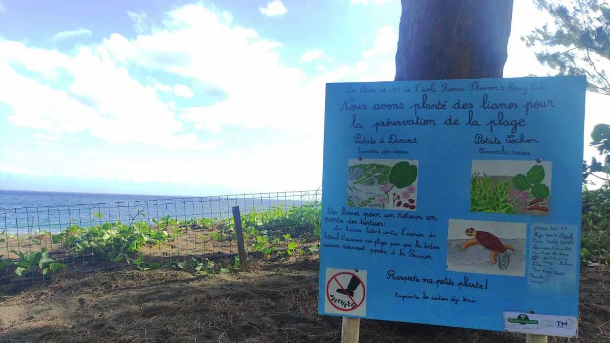 Aménagements des plages à La Réunion pour favoriser le retour des Tortues Marines Un partenariat MP Labo et Univet Nature