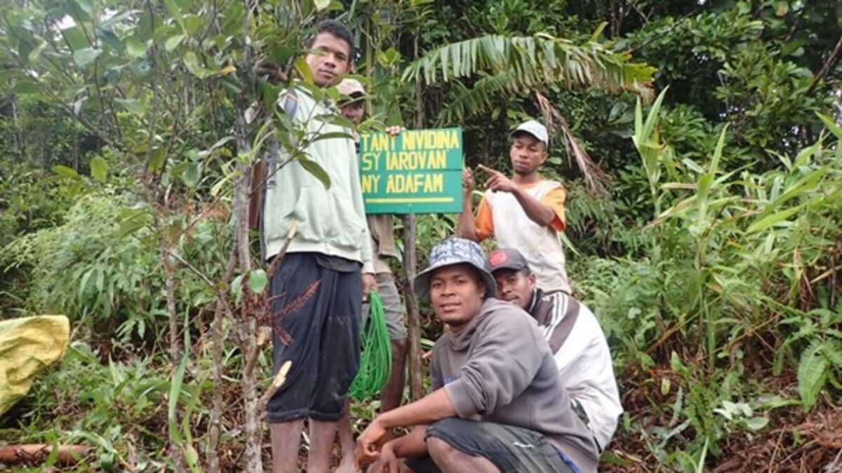 <strong>Protection de la forêt d’Ambodiriana à Madagascar par ADAFAM</strong>