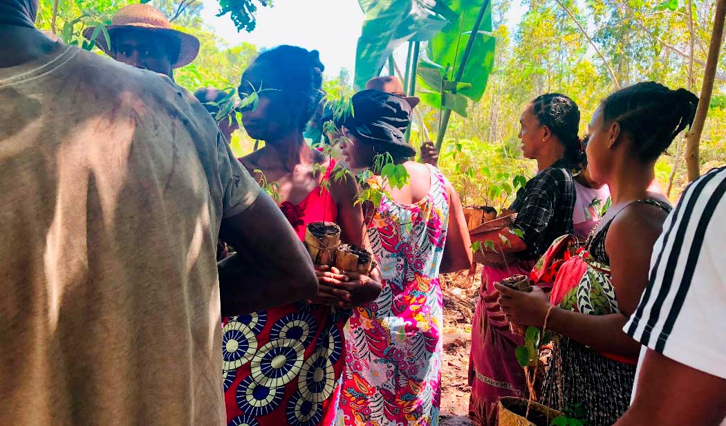 Protégeons la forêt de Vohibola, une des dernières forêts primaires de Madagascar