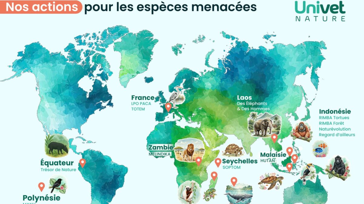 Nos actions 2024-2025 pour les espèces menacées
