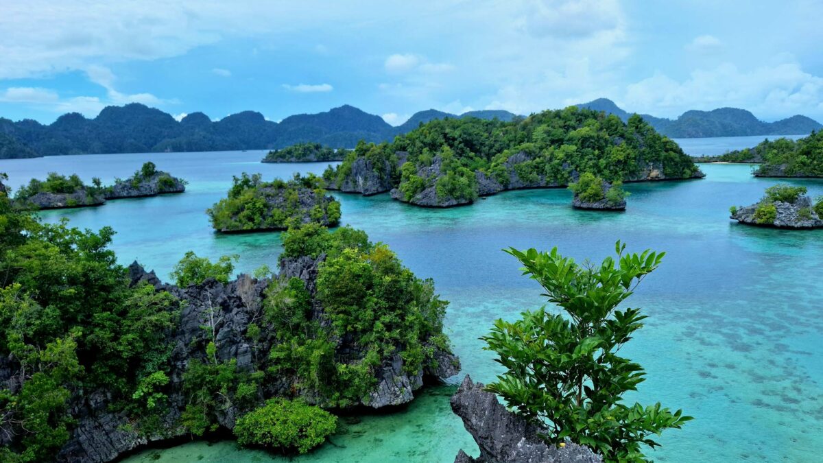 Récifs coralliens à Sulawesi