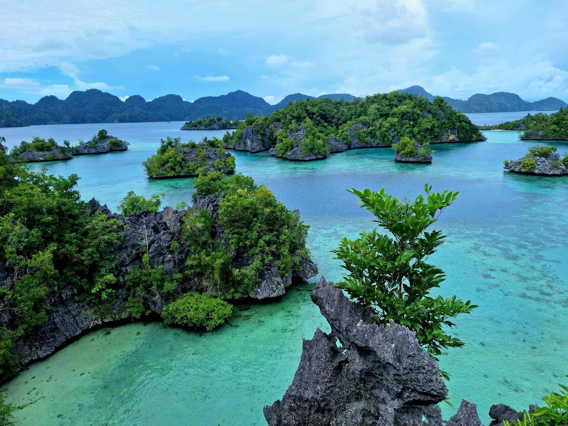 Récifs coralliens à Sulawesi